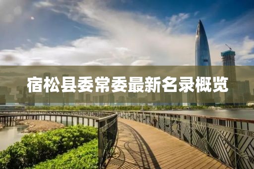 宿松縣委常委最新名錄概覽