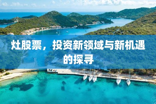 灶股票，投資新領(lǐng)域與新機(jī)遇的探尋