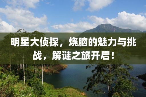 明星大偵探，燒腦的魅力與挑戰(zhàn)，解謎之旅開啟！