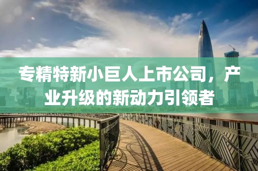 專(zhuān)精特新小巨人上市公司，產(chǎn)業(yè)升級(jí)的新動(dòng)力引領(lǐng)者