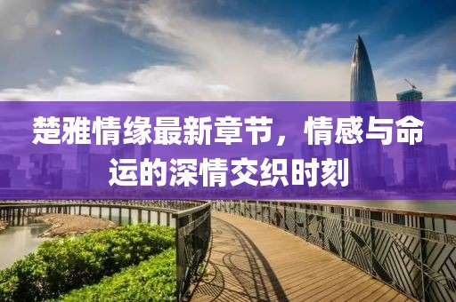 楚雅情緣最新章節(jié)，情感與命運(yùn)的深情交織時(shí)刻