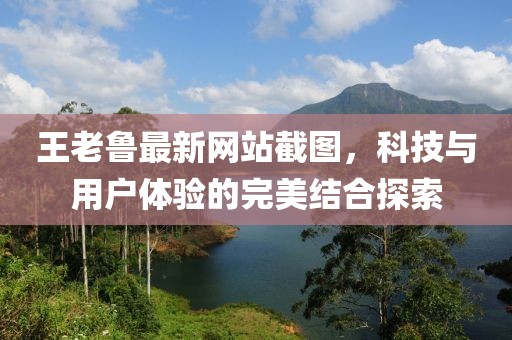 王老魯最新網(wǎng)站截圖，科技與用戶體驗的完美結(jié)合探索
