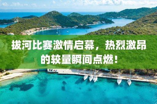 拔河比賽激情啟幕，熱烈激昂的較量瞬間點燃！