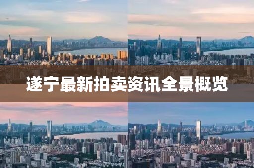 遂寧最新拍賣資訊全景概覽