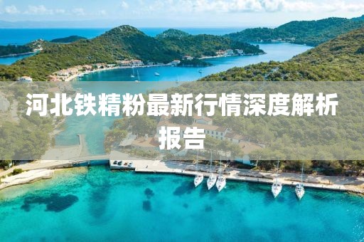 河北鐵精粉最新行情深度解析報告
