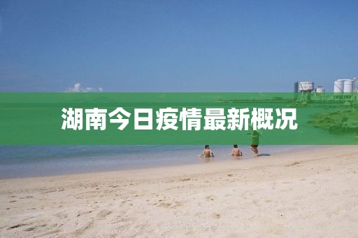 湖南今日疫情最新概況