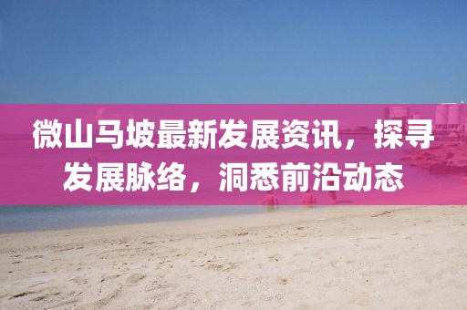 微山馬坡最新發(fā)展資訊，探尋發(fā)展脈絡(luò)，洞悉前沿動(dòng)態(tài)