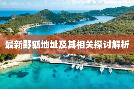 最新野狐地址及其相關(guān)探討解析