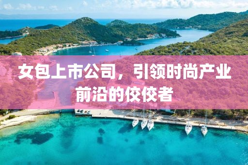 女包上市公司，引領(lǐng)時尚產(chǎn)業(yè)前沿的佼佼者