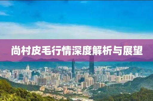 尚村皮毛行情深度解析與展望