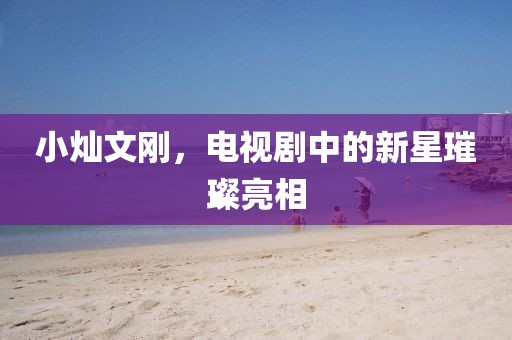 小燦文剛，電視劇中的新星璀璨亮相