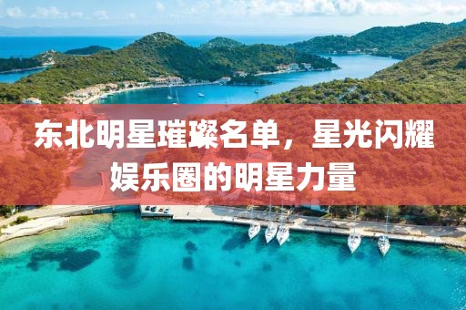 東北明星璀璨名單，星光閃耀娛樂(lè)圈的明星力量