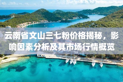 云南省文山三七粉價格揭秘，影響因素分析及其市場行情概覽