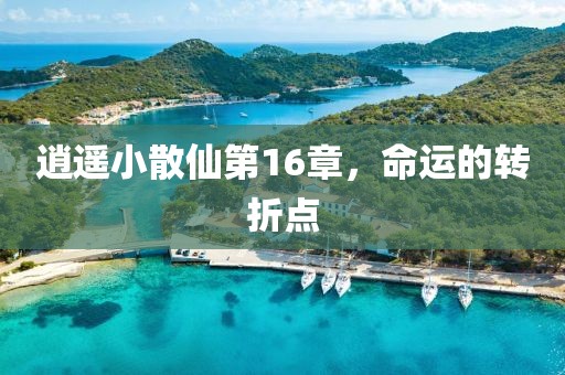 逍遙小散仙第16章，命運的轉(zhuǎn)折點