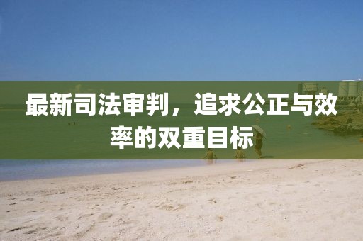 最新司法審判，追求公正與效率的雙重目標(biāo)