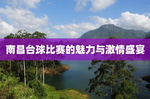 南昌臺球比賽的魅力與激情盛宴
