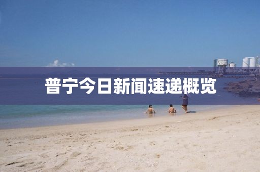 普寧今日新聞速遞概覽