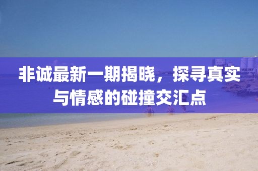 非誠最新一期揭曉，探尋真實與情感的碰撞交匯點