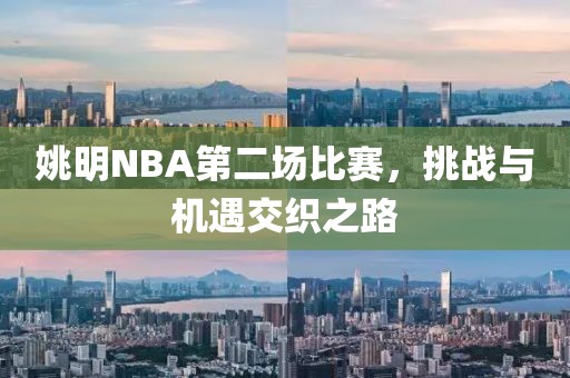 姚明NBA第二場比賽，挑戰(zhàn)與機遇交織之路