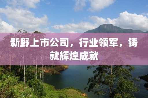 新野上市公司，行業(yè)領軍，鑄就輝煌成就
