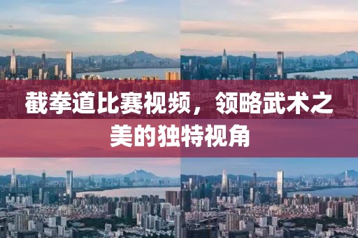 截拳道比賽視頻，領(lǐng)略武術(shù)之美的獨(dú)特視角