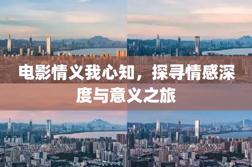 電影情義我心知，探尋情感深度與意義之旅
