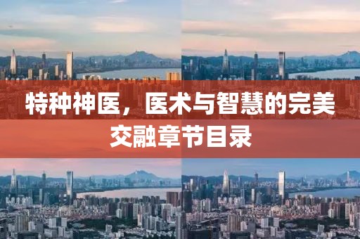 特種神醫(yī)，醫(yī)術與智慧的完美交融章節(jié)目錄