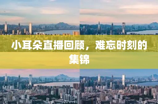 小耳朵直播回顧，難忘時(shí)刻的集錦