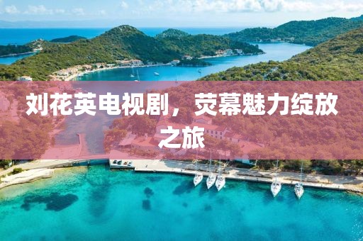 劉花英電視劇，熒幕魅力綻放之旅