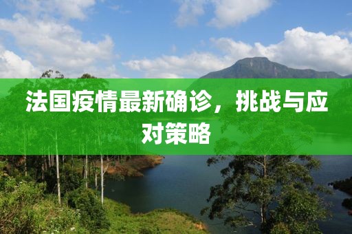 法國疫情最新確診，挑戰(zhàn)與應(yīng)對策略