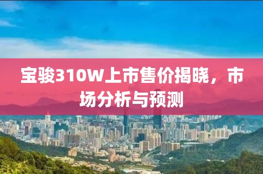 寶駿310W上市售價揭曉，市場分析與預(yù)測