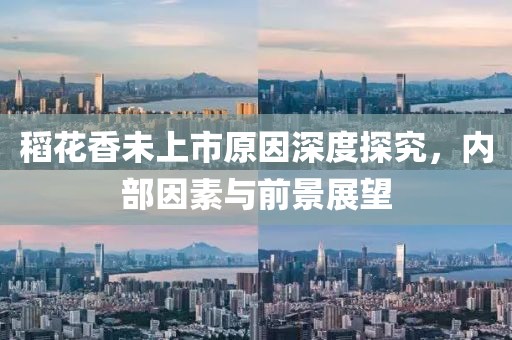 稻花香未上市原因深度探究，內(nèi)部因素與前景展望