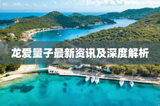 龍愛量子最新資訊及深度解析