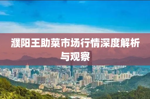 濮陽(yáng)王助菜市場(chǎng)行情深度解析與觀察