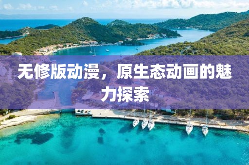 無修版動(dòng)漫，原生態(tài)動(dòng)畫的魅力探索
