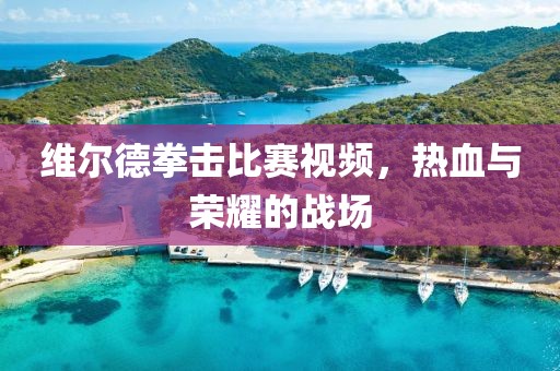 維爾德拳擊比賽視頻，熱血與榮耀的戰(zhàn)場
