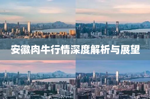 安徽肉牛行情深度解析與展望