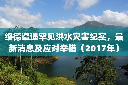 綏德遭遇罕見(jiàn)洪水災(zāi)害紀(jì)實(shí)，最新消息及應(yīng)對(duì)舉措（2017年）