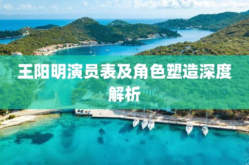 王陽明演員表及角色塑造深度解析