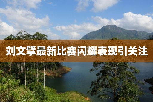 劉文擘最新比賽閃耀表現(xiàn)引關注