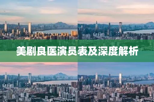 美劇良醫(yī)演員表及深度解析