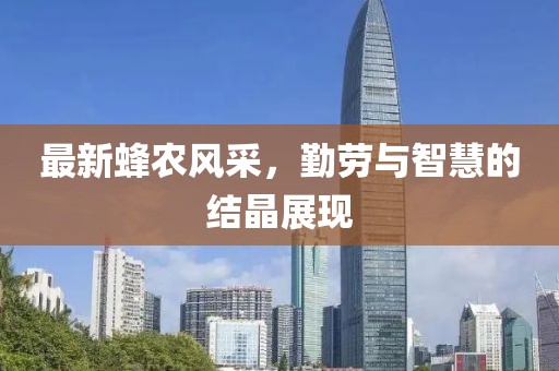 最新蜂農(nóng)風(fēng)采，勤勞與智慧的結(jié)晶展現(xiàn)