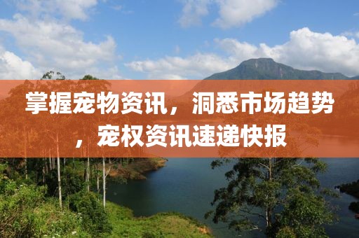 陌生的城市 第7頁