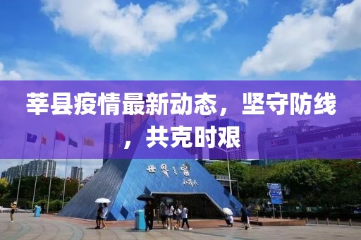 莘縣疫情最新動態(tài)，堅守防線，共克時艱