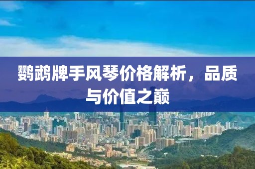鸚鵡牌手風(fēng)琴價格解析，品質(zhì)與價值之巔