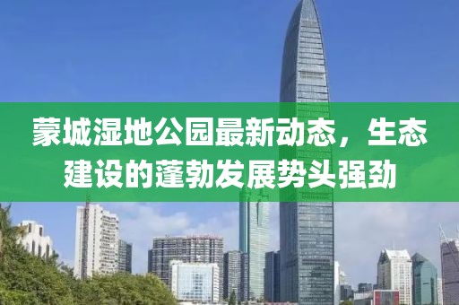 蒙城濕地公園最新動態(tài)，生態(tài)建設的蓬勃發(fā)展勢頭強勁