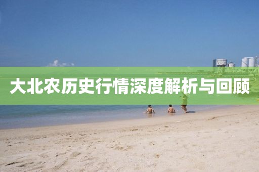 大北農(nóng)歷史行情深度解析與回顧