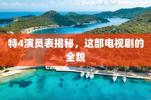 特4演員表揭秘，這部電視劇的全貌