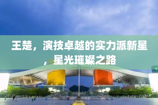 王楚，演技卓越的實(shí)力派新星，星光璀璨之路