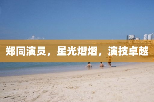 鄭同演員，星光熠熠，演技卓越